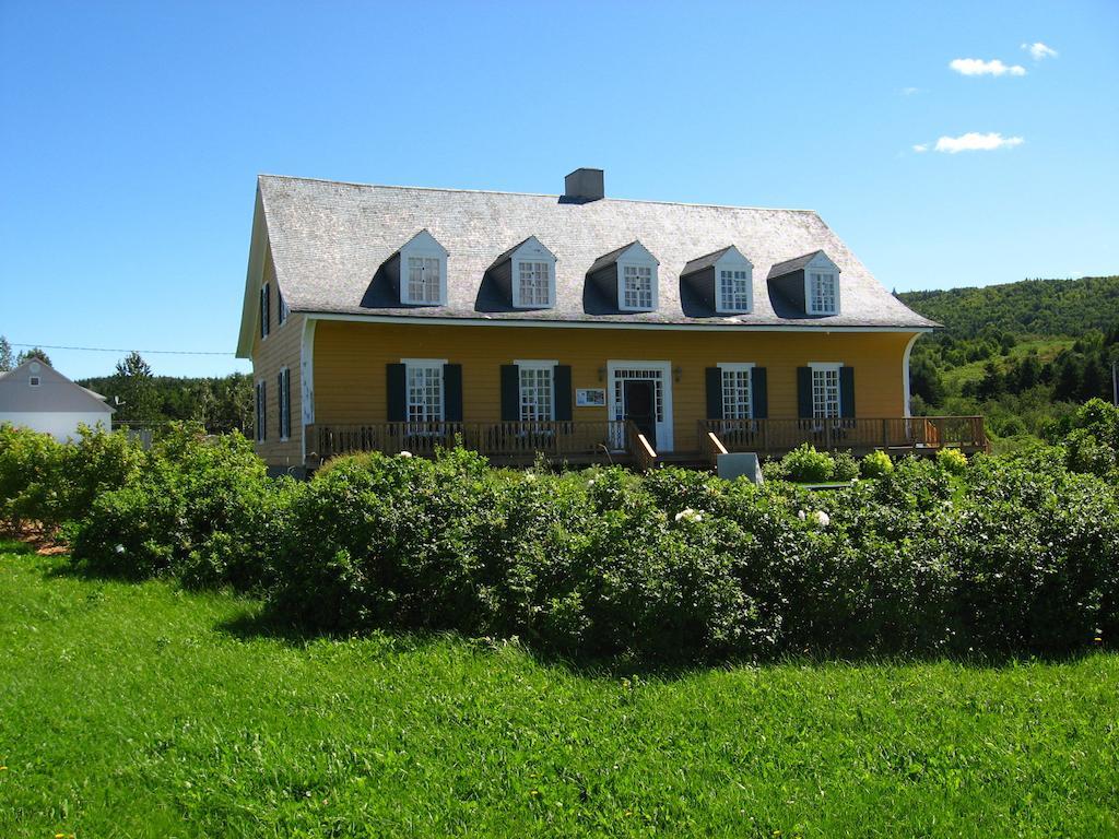 Motel Le Noroit L'Anse-au-Griffon Buitenkant foto
